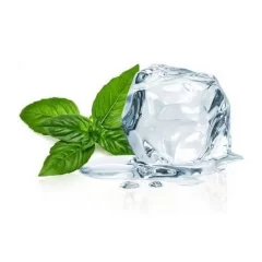 Capella E-Likit Aroması Cool Mint 10ML